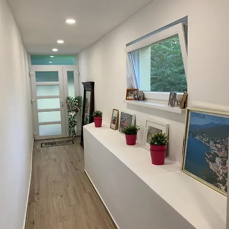 Apartament Andreja, Center
