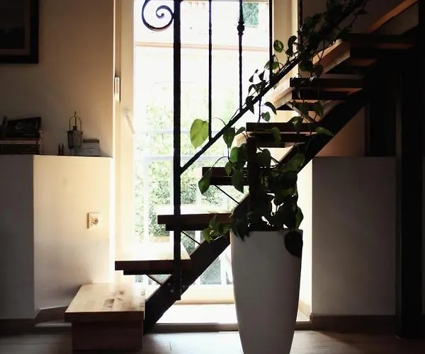 Andreja, Center Apartament