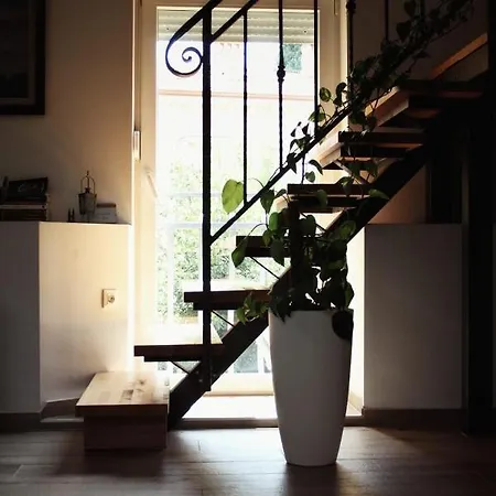 Andreja, Center شقة